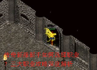 �����·��������ѡ��ְҵ������ְҵ������Ƚ���