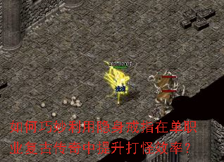 �����������������ָ�ڵ�ְҵ���Ŵ������������Ч�ʣ�