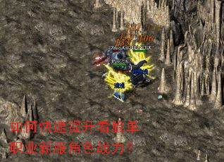 ��ο�������������ְҵ�·���ɫս����