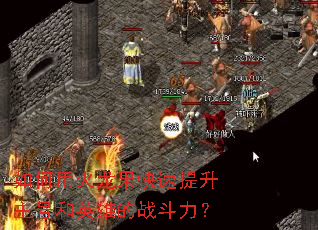 ����û����������������ź�Ӣ�۵�ս������