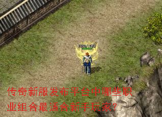 �����·�����ƽ̨����Щְҵ������ʺ�������ң�