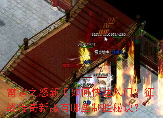雷霆之怒新手如何快速入门?征战传奇新服有哪些制胜秘诀? 雷霆之怒新手如何快速入门?征战传奇新服有哪些制胜秘诀?