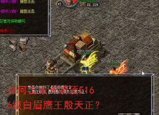 如何击败光明顶5166级白眉鹰王殷天正? 如何击败光明顶5166级白眉鹰王殷天正?