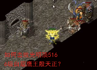 如何击败光明顶5166级白眉鹰王殷天正? 如何击败光明顶5166级白眉鹰王殷天正?
