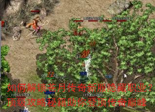 如何解锁苍月传奇新服隐藏职业?顶级攻略秘籍助你登顶传奇巅峰 如何解锁苍月传奇新服隐藏职业?顶级攻略秘籍助你登顶传奇巅峰