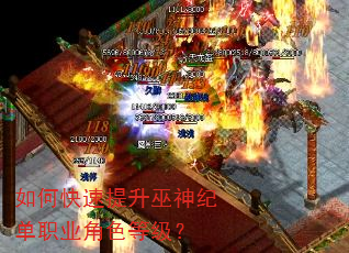 如何快速提升巫神纪单职业角色等级? 如何快速提升巫神纪单职业角色等级?