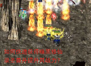 如何快速获得暗黑修仙录圣兽并提升其战力? 如何快速获得暗黑修仙录圣兽并提升其战力?
