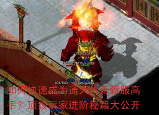 ��ο��ٳ�Ϊͨ�촫���·����֣�������ҽ����ؼ��󹫿�