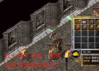 战士新手攻略:如何高效挑战新骷髅王? 战士新手攻略:如何高效挑战新骷髅王?
