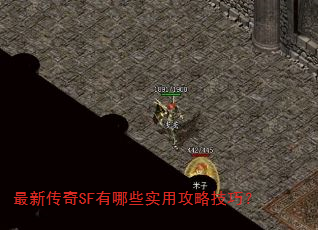 最新传奇SF有哪些实用攻略技巧? 最新传奇SF有哪些实用攻略技巧?