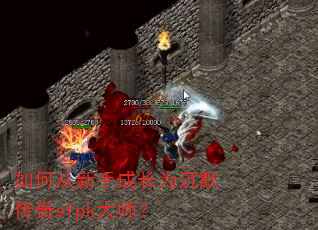 如何从新手成长为沉默传奇sfpk大师? 如何从新手成长为沉默传奇sfpk大师?