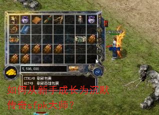 如何从新手成长为沉默传奇sfpk大师? 如何从新手成长为沉默传奇sfpk大师?