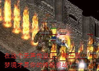 在这个无声传说中,哪一层梦境才是你的终极挑战? 在这个无声传说中,哪一层梦境才是你的终极挑战?