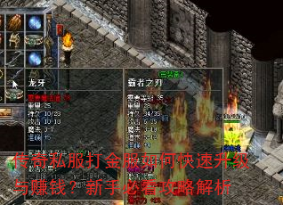 传奇私服打金服如何快速升级与赚钱?新手必看攻略解析 传奇私服打金服如何快速升级与赚钱?新手必看攻略解析
