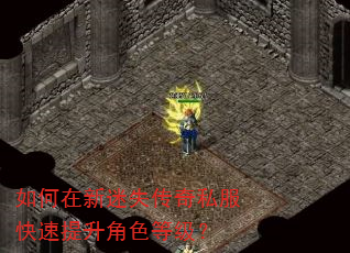 如何在新迷失传奇私服快速提升角色等级? 如何在新迷失传奇私服快速提升角色等级?