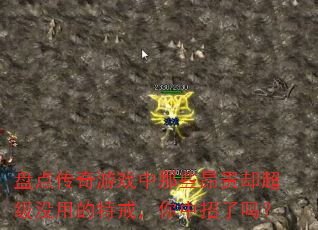 盘点传奇游戏中那些昂贵却超级没用的特戒,你中招了吗? 盘点传奇游戏中那些昂贵却超级没用的特戒,你中招了吗?