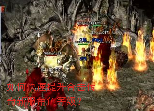 如何快速提升合击传奇新服角色等级? 如何快速提升合击传奇新服角色等级?