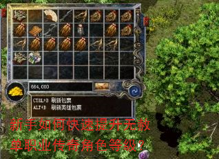 新手如何快速提升无赦单职业传奇角色等级? 新手如何快速提升无赦单职业传奇角色等级?