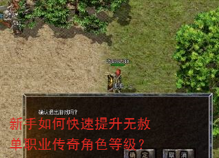 新手如何快速提升无赦单职业传奇角色等级? 新手如何快速提升无赦单职业传奇角色等级?