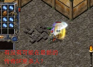 有没有可能在最新的传奇SF里杀人? 有没有可能在最新的传奇SF里杀人?