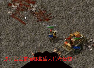 法师宝宝首选哪些盛大传奇怪物? 法师宝宝首选哪些盛大传奇怪物?