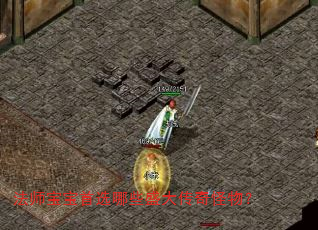 法师宝宝首选哪些盛大传奇怪物? 法师宝宝首选哪些盛大传奇怪物?