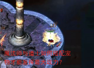魔法师与道士如何搭配宠物才能发挥最大战力? 魔法师与道士如何搭配宠物才能发挥最大战力?
