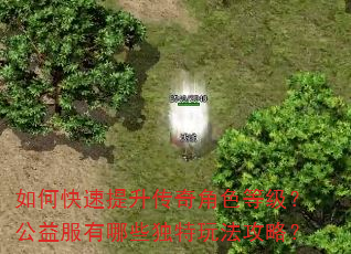 如何快速提升传奇角色等级?公益服有哪些独特玩法攻略? 如何快速提升传奇角色等级?公益服有哪些独特玩法攻略?
