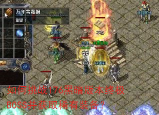 �����ս176�ڰ��汾�ռ�BOSS����ȡϡ��װ����