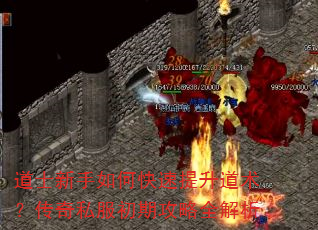 道士新手如何快速提升道术?传奇私服初期攻略全解析 道士新手如何快速提升道术?传奇私服初期攻略全解析