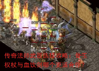���淨ʦ����ѡ���ԣ�����Ȩ����Ѫ�����ĸ����ʺ��㣿