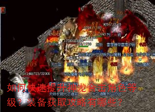 如何快速提升神龙合击角色等级?装备获取攻略有哪些? 如何快速提升神龙合击角色等级?装备获取攻略有哪些?