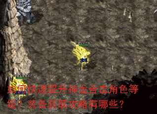 如何快速提升神龙合击角色等级?装备获取攻略有哪些? 如何快速提升神龙合击角色等级?装备获取攻略有哪些?