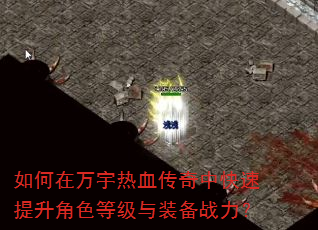 �����������Ѫ�����п���������ɫ�ȼ���װ��ս����