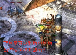 ��������������԰���ο�������ս����