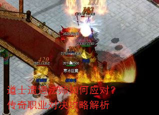 ��ʿ������ʦ���Ӧ�ԣ�����ְҵ�Ծ����Խ���