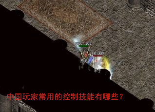 中国玩家常用的控制技能有哪些? 中国玩家常用的控制技能有哪些?