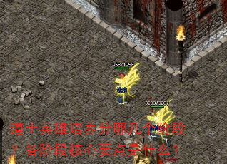 道士英雄培养分哪几个阶段?各阶段核心要点是什么? 道士英雄培养分哪几个阶段?各阶段核心要点是什么?