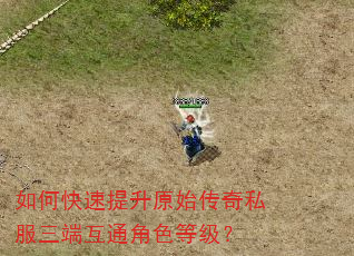 如何快速提升原始传奇私服三端互通角色等级? 如何快速提升原始传奇私服三端互通角色等级?