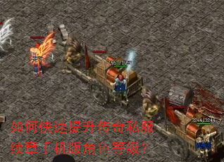 如何快速提升传奇私服续章手机版角色等级? 如何快速提升传奇私服续章手机版角色等级?