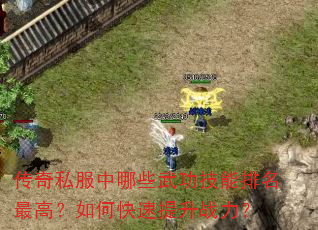 传奇私服中哪些武功技能排名最高?如何快速提升战力? 传奇私服中哪些武功技能排名最高?如何快速提升战力?