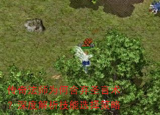 传奇法师为何舍弃圣言术?深度解析技能选择策略 传奇法师为何舍弃圣言术?深度解析技能选择策略