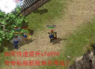 如何快速提升sf6999传奇私服新服角色等级? 如何快速提升sf6999传奇私服新服角色等级?