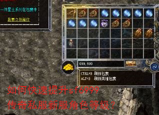 如何快速提升sf6999传奇私服新服角色等级? 如何快速提升sf6999传奇私服新服角色等级?