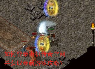 如何登录街机传奇官网并获取最新游戏攻略? 如何登录街机传奇官网并获取最新游戏攻略?