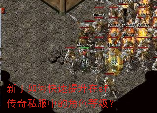 新手如何快速提升在sf传奇私服中的角色等级? 新手如何快速提升在sf传奇私服中的角色等级?