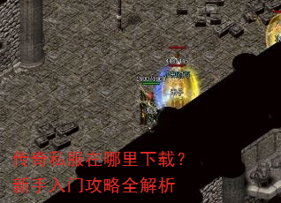 ����˽�����������أ��������Ź���ȫ����