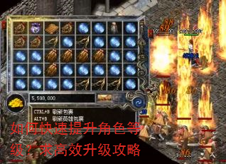 如何快速提升角色等级?求高效升级攻略 如何快速提升角色等级?求高效升级攻略