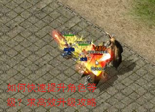 如何快速提升角色等级?求高效升级攻略 如何快速提升角色等级?求高效升级攻略