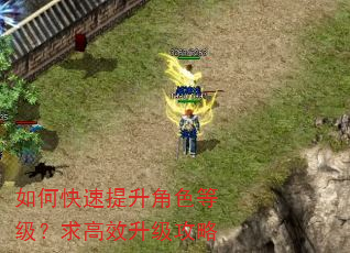如何快速提升角色等级?求高效升级攻略 如何快速提升角色等级?求高效升级攻略